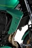 Wloty powietrza osłona chłodnicy ERMAX AIR SCOOPS Kawasaki Z650RS 2022 - 2025